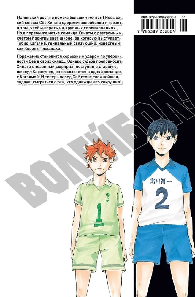 Volejbols! 1. sējums. Hinata un Kagejama. Skats no augšas