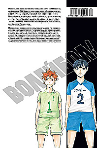 Volejbols! 1. sējums. Hinata un Kagejama. Skats no augšas