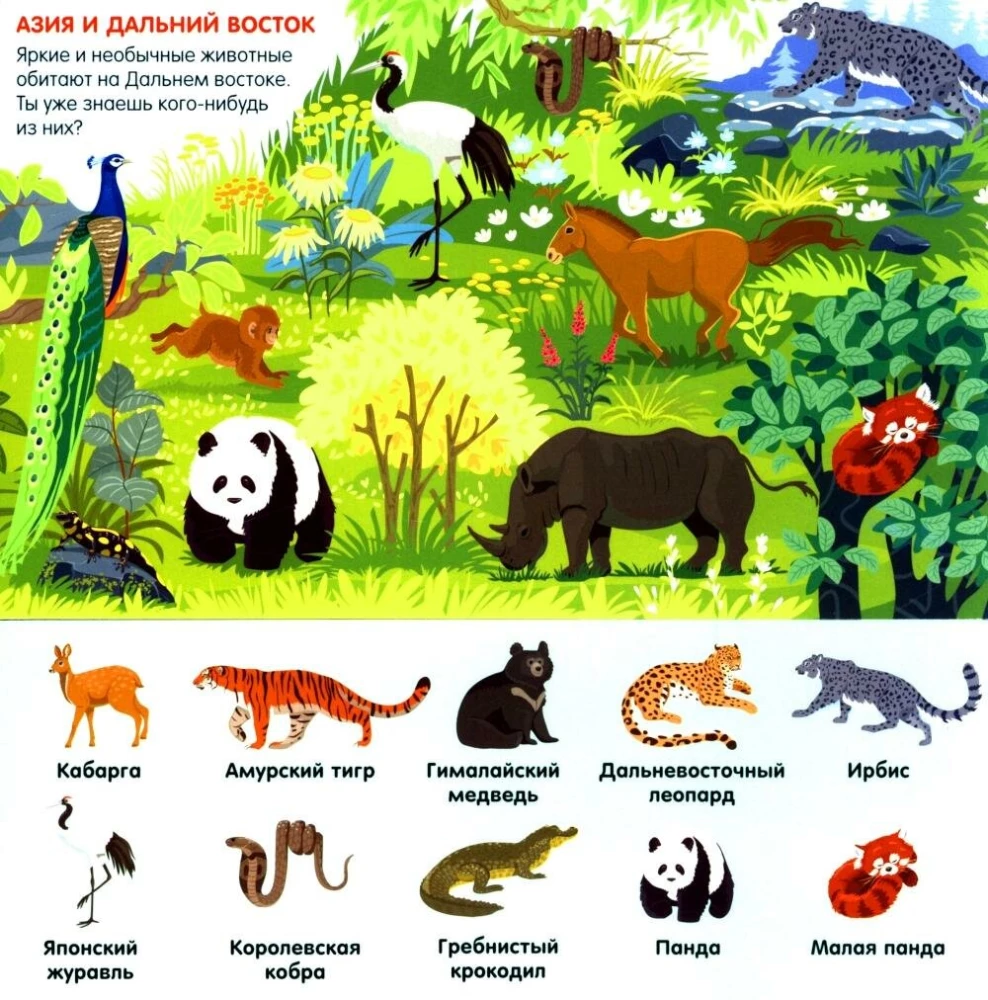 Zoodārzā