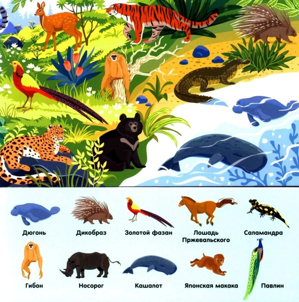 Zoodārzā