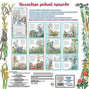 Календарь родной природы настенный на 2026 год (290х290 мм)