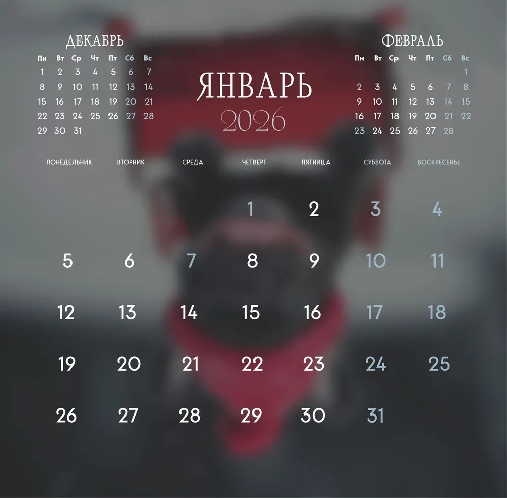 Французские булочки. Календарь настенный на 2026 год (300х300)
