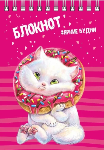 Блокнот - Кот, А6, 80 листов, клетка