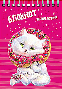 Блокнот - Кот, А6, 80 листов, клетка