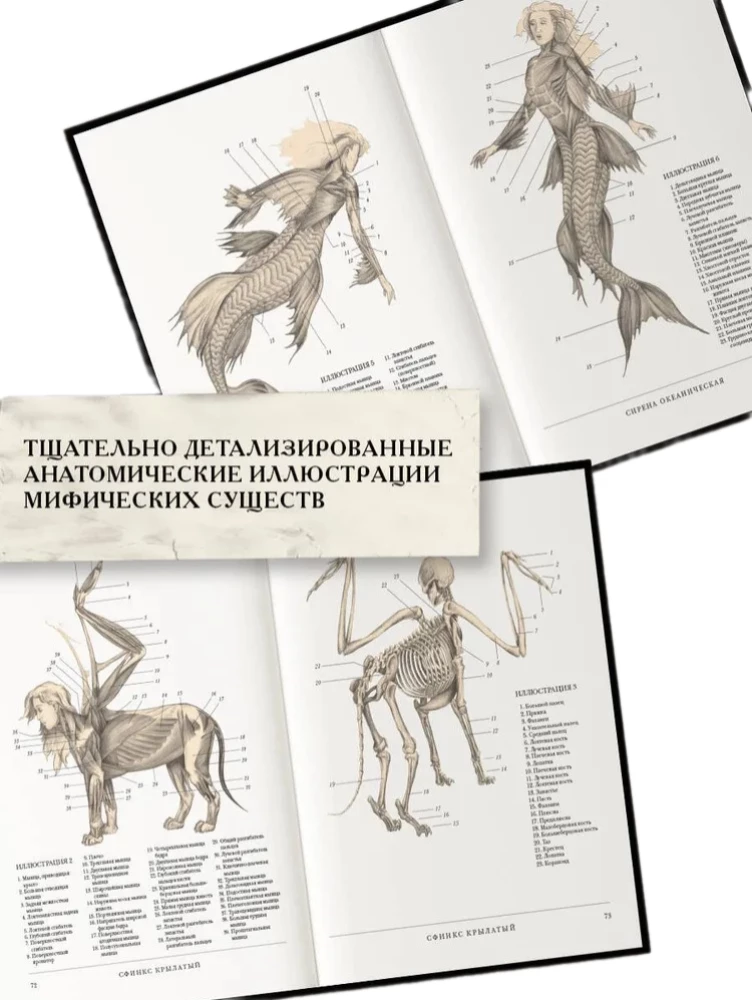 Воскреситель, или Анатомия фантастических существ. Утерянный труд доктора Спенсера Блэка