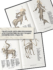 Воскреситель, или Анатомия фантастических существ. Утерянный труд доктора Спенсера Блэка