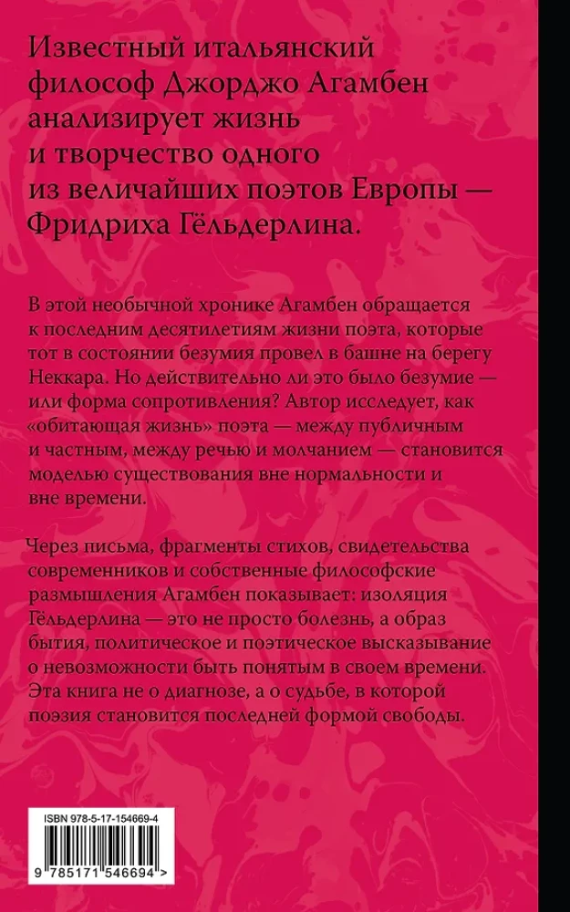 Безумие Гёльдерлина. Жизнь, поделенная надвое