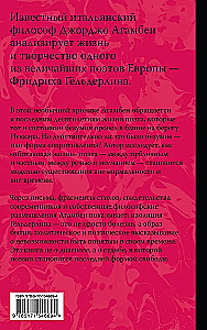 Безумие Гёльдерлина. Жизнь, поделенная надвое