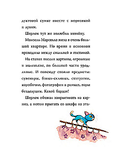 Шерлок Кот. Тайна пропавших мышей