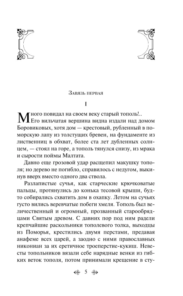 Черный тополь