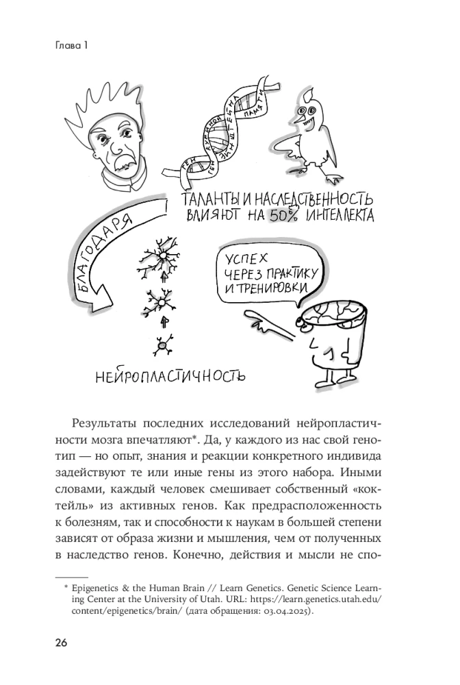 Мозг в порядке. Как улучшить память, справиться с перегрузкой и вернуть ясность ума