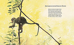 Džungļu grāmata