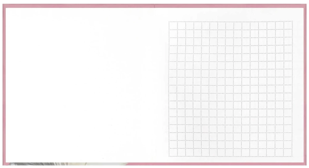 Bloki - Notebook. Pīlēns brillēs, 48 lapas, šūnu