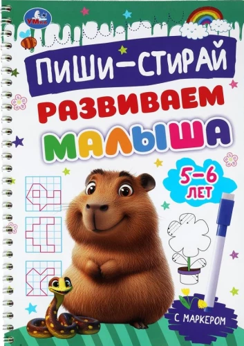 Развиваемся. Пиши-стирай. Прописи