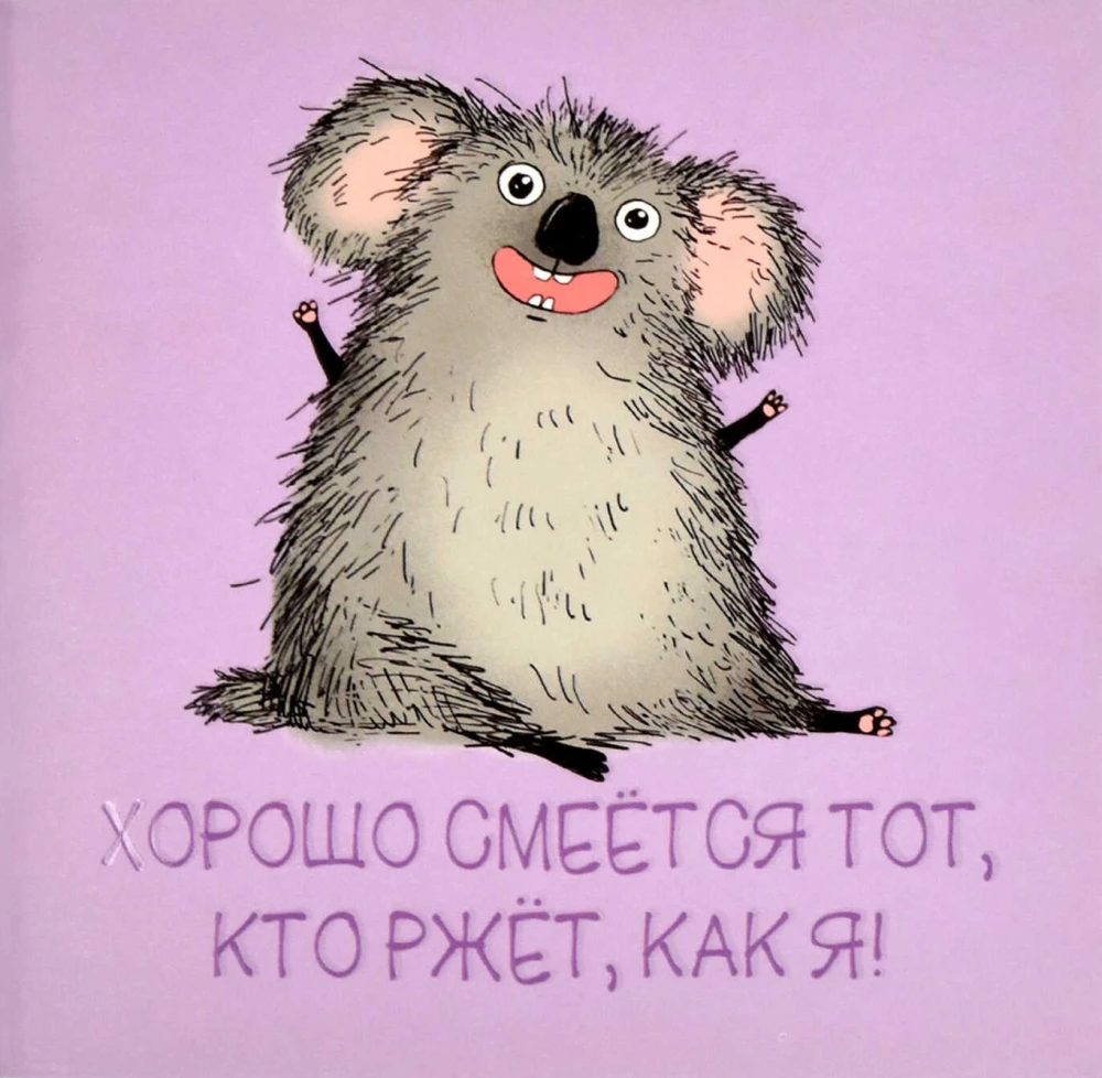 Bloknots - Priecīgā koala, 32 lapas, rūtiņa