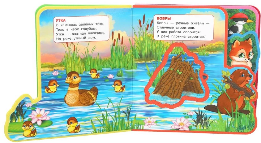 Meža dzīvnieki