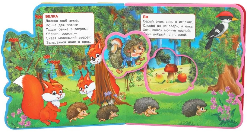 Meža dzīvnieki