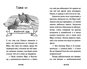Пушистые истории. Котенок Плюша ищет семью