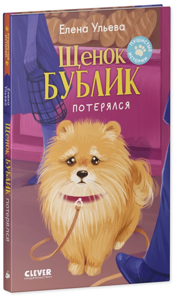 Kucēns Bublik ir pazudis