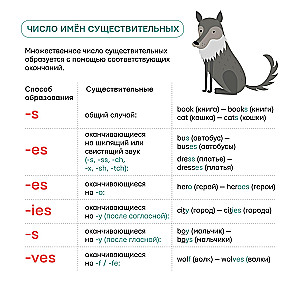 Visi angļu valodas noteikumi iesācējiem zem viena vāka. Plakāts-pats mācītājs