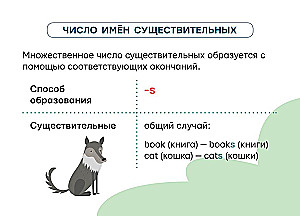 Angļu valoda: visi noteikumi