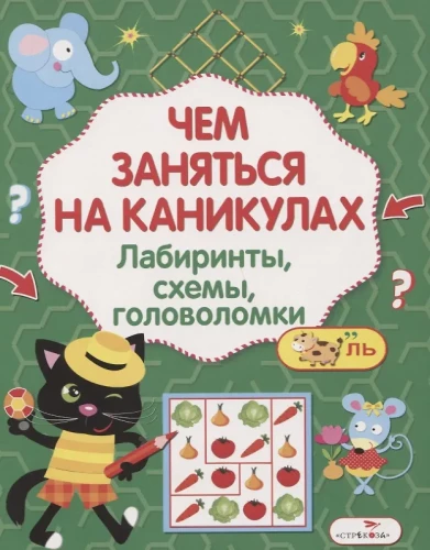 Чем заняться на каникулах? Лабиринты, схемы, головоломки. Выпуск 6
