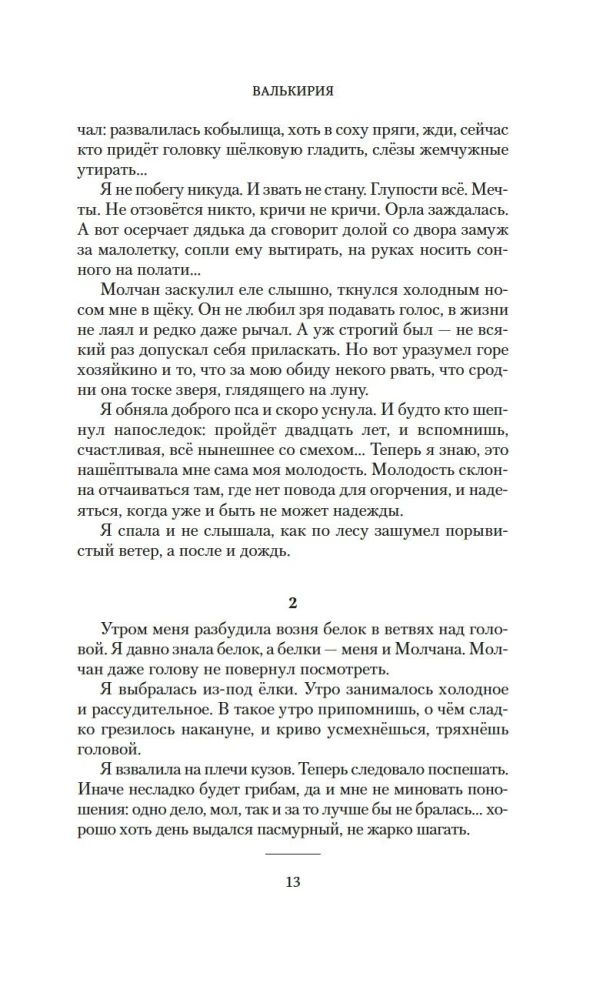 Валькирия. Тот, кого я всегда жду