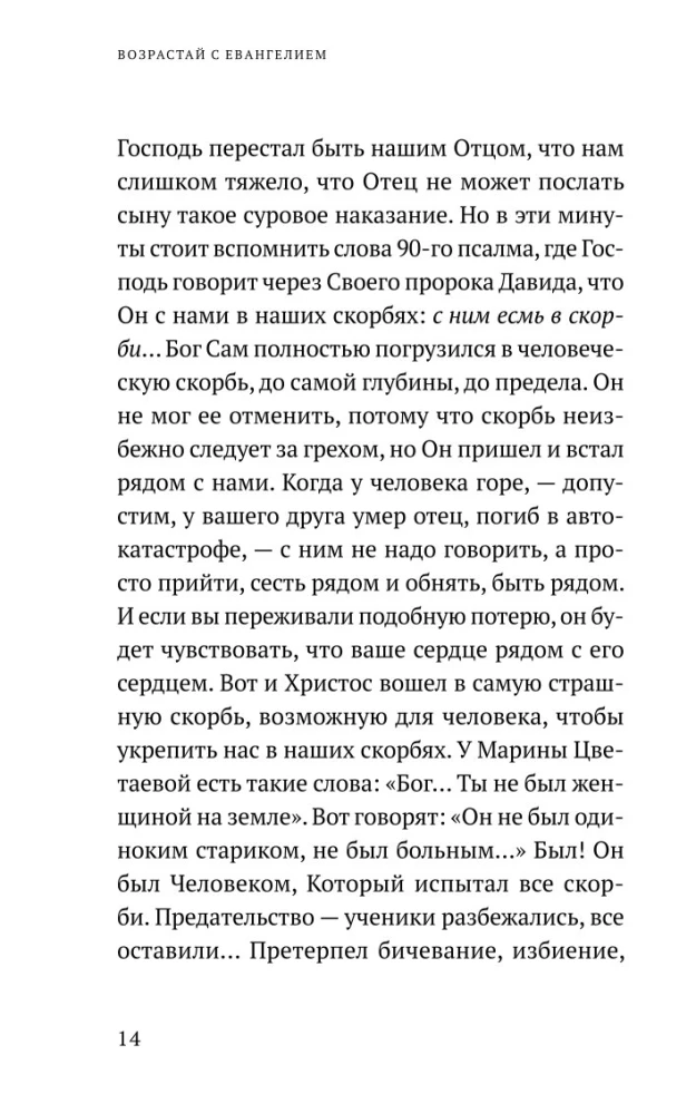 Возрастай с Евангелием. Как воспитать ребенка в евангельском духе. Притчи Христовы