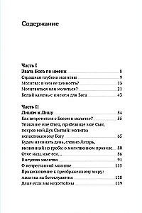 Не могу, Господи, жить без Тебя! Книга о молитве