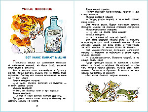 Рассказы для детей