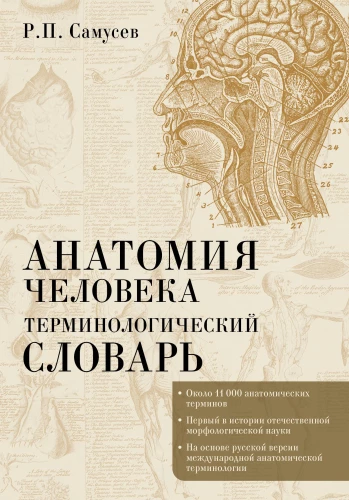 Анатомия человека. Терминологический словарь