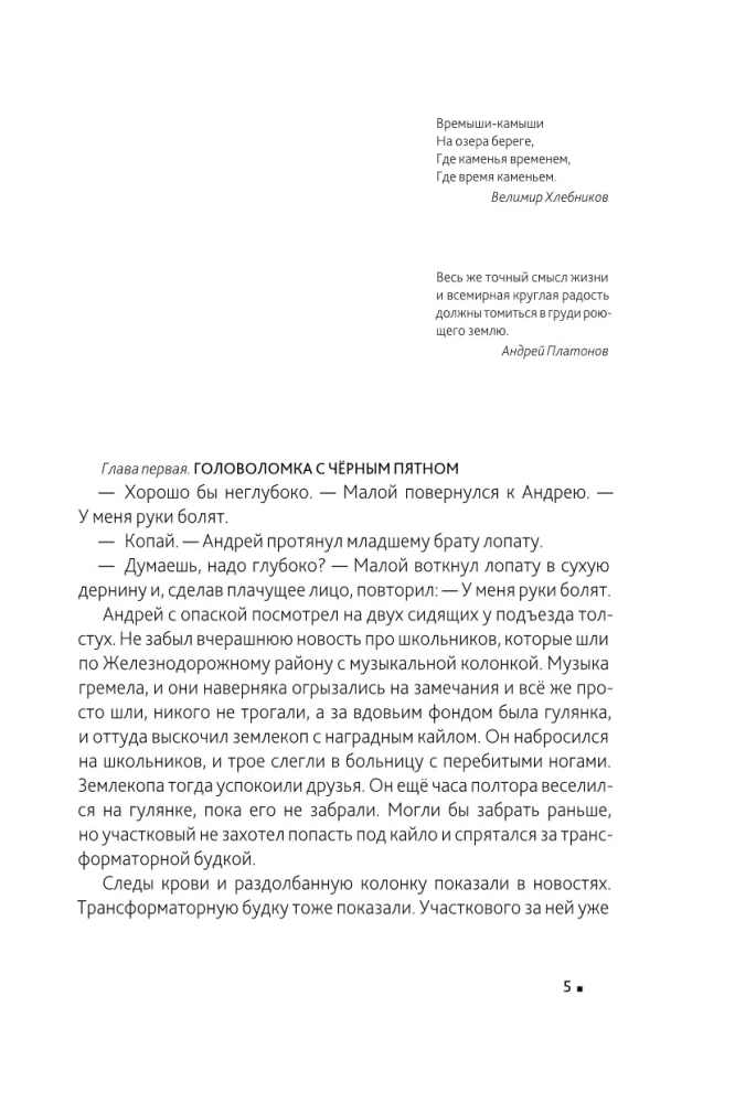 Горит камыш