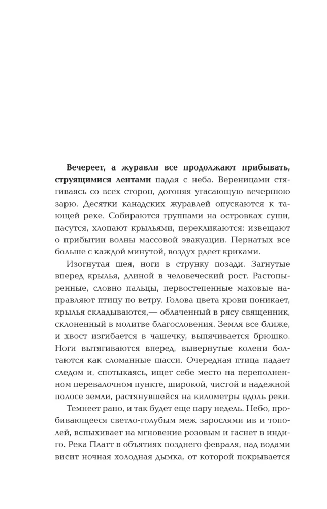 Eho radītājs