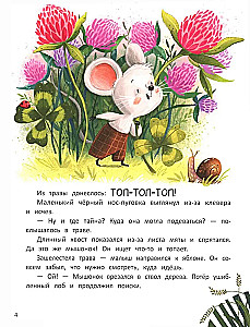 Топ-Топ и таинственный сад