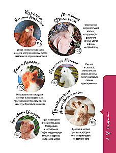 Mīkstās rotaļlietas uz adatām. 12 pūkainu zvēru, kurus viegli adīt un nav jāšuj