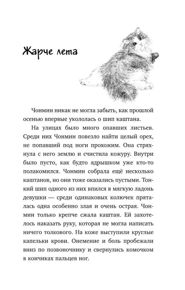 Кошка из мастерской