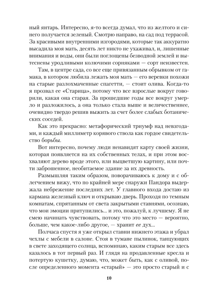 Оливковое дерево