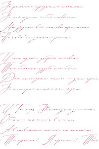 Письмо в прошлое. Роман в стихах
