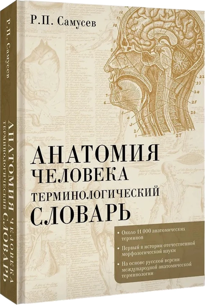 Анатомия человека. Терминологический словарь