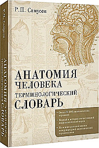 Анатомия человека. Терминологический словарь