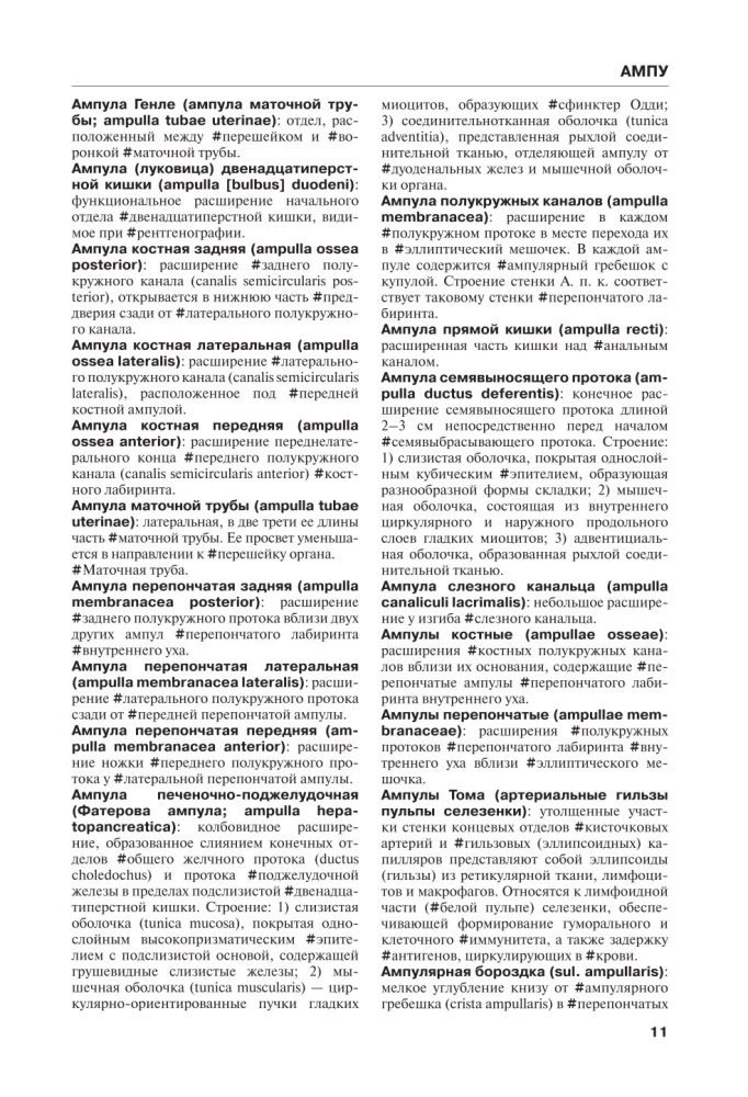 Анатомия человека. Терминологический словарь