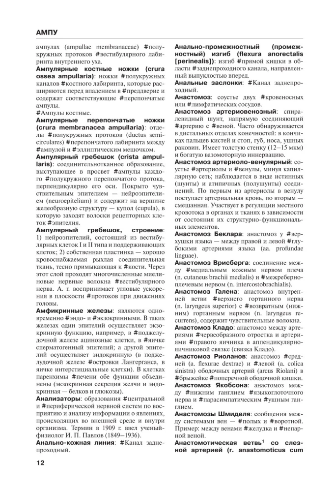 Анатомия человека. Терминологический словарь