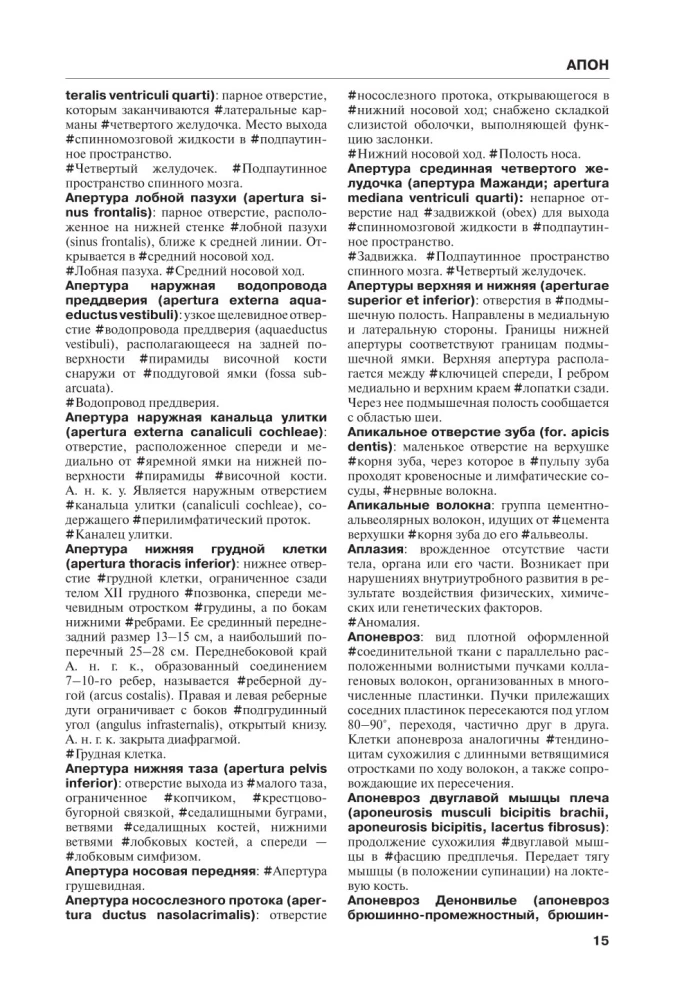 Анатомия человека. Терминологический словарь