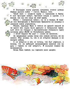 Как правильно любить собак
