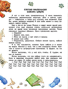Как правильно любить собак