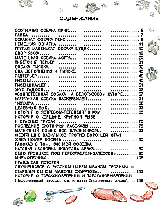 Как правильно любить собак