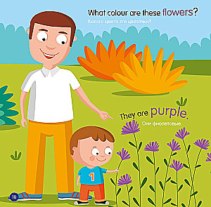 What Colour is it? = Какой это цвет?
