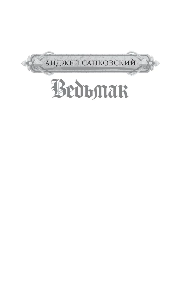 Ведьмак. Последнее желание. Меч предназначения