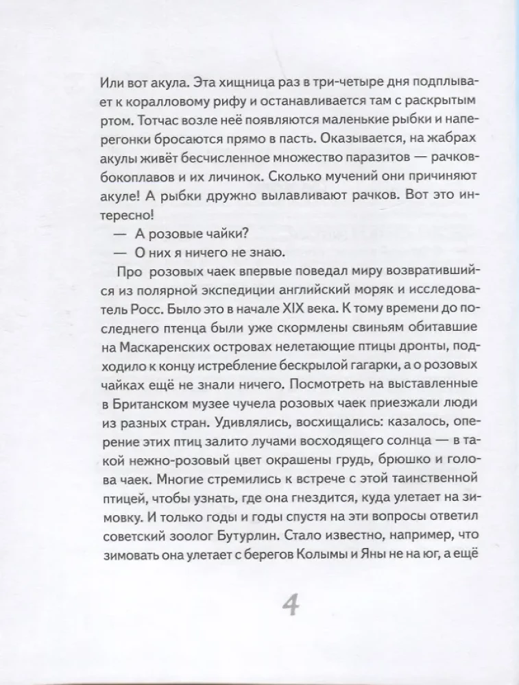 Иду по тайге