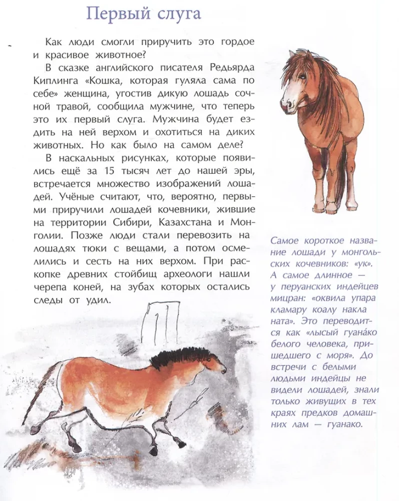 Кони. Дикие, благородные, знаменитые